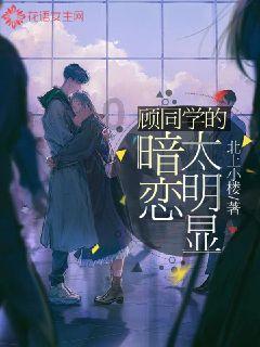 月光影视