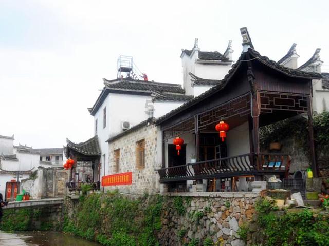 春雨直播app